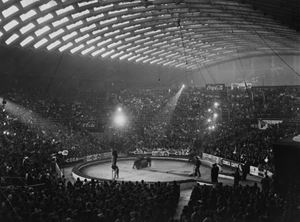 Senza titolo (circo)