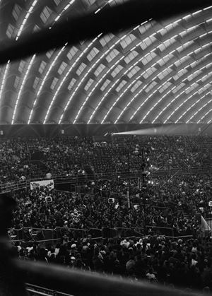 Senza titolo (circo)
