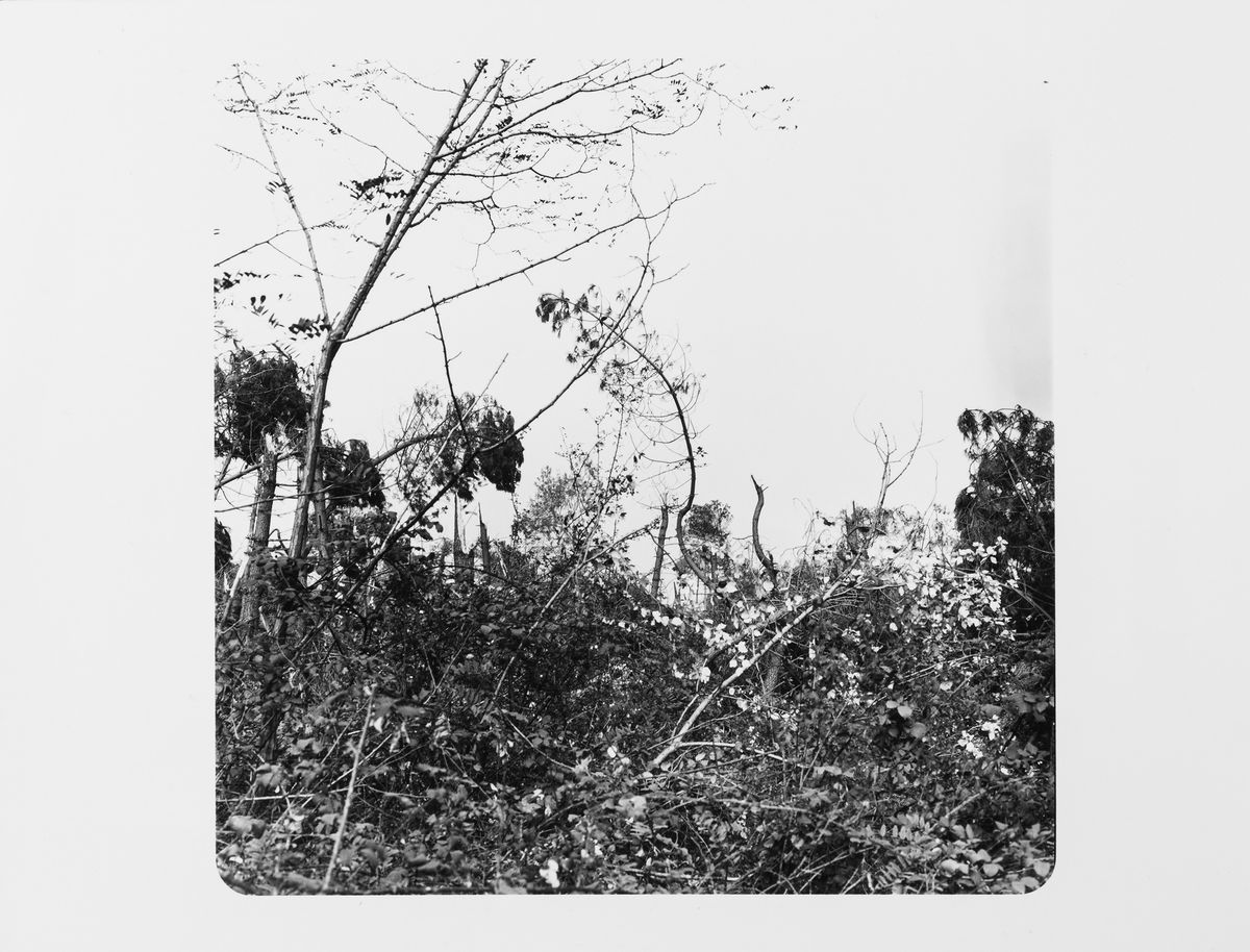 Vittorio Garatti - Senza Titolo