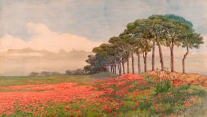 Roma, Casal de' Pazzi