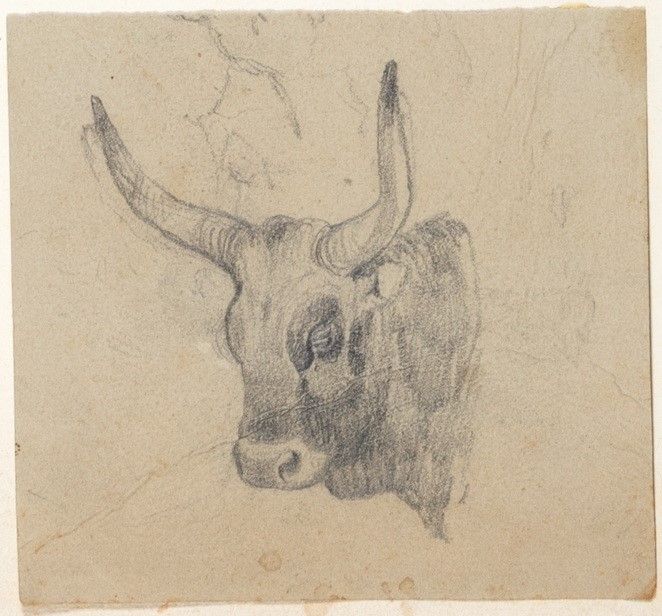 Attribuito a Carlo Coleman (1808-1874) - Coppia di Disegni
