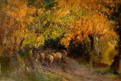 Luci nel Bosco