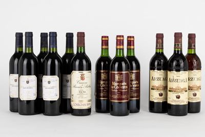 Selezione di vini Rioja e Ribera del Duero, incluse annate 1994-1998