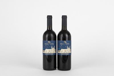 Donnafugata Mille e una Notte, vino rosso, 1999