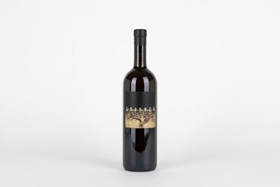 Gravner, Ribolla 2000