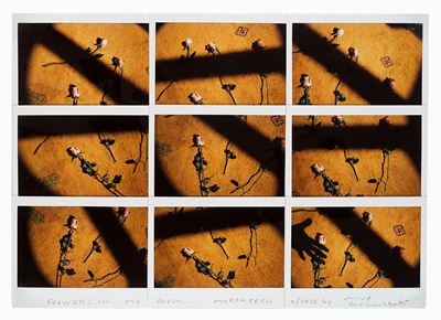 Flowers in my room...Marrakech; DS8 Bottiglie Dance...Balieu sur mer, due mosaici da nove polaroi...