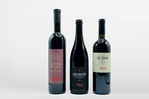 Selection Amarone della Valpolicella