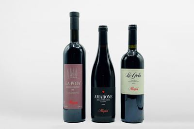 Selezione di vini Amarone della Valpolicella, comprensiva di annate pregiate
