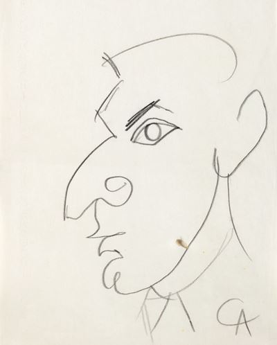Ritratto di Plinio, grafite su carta