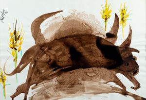 Toro con spighe di grano