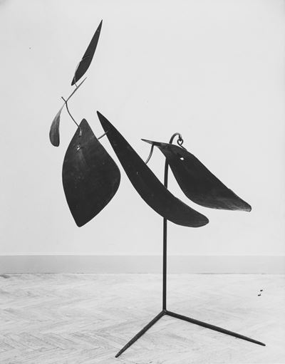 Alexander Calder, Cinque Foglie, stampa vintage alla gelatina ai sali d'argento