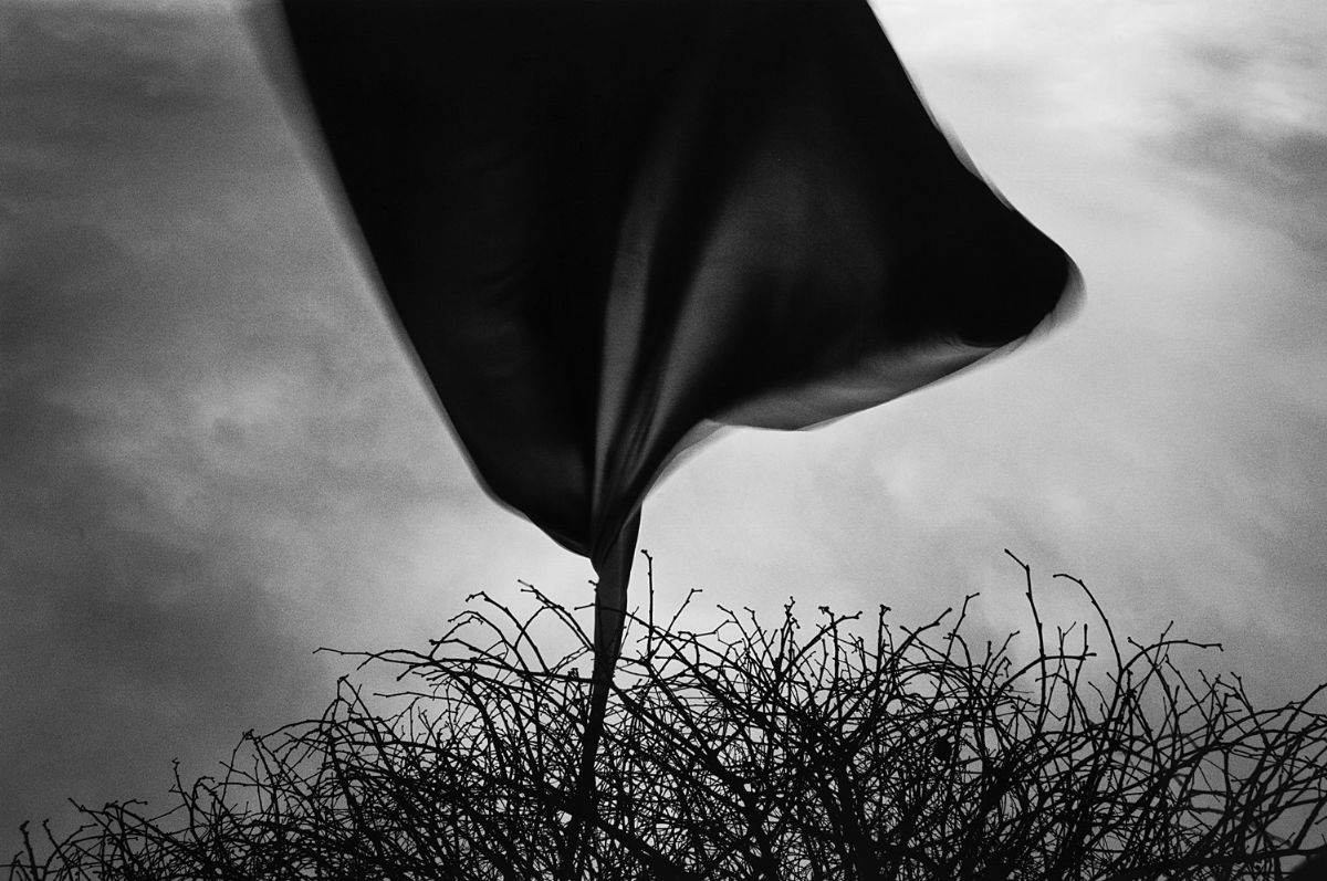 Paolo Pellegrin - Iraq - Tre stampe inkjet su alluminio