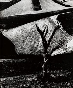 Materia e luce nella mia terra