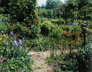 From the series "Giverny"