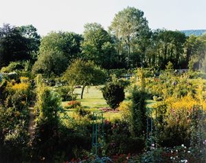 From the series "Giverny"