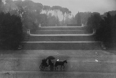 Horse And Carriage in Rain