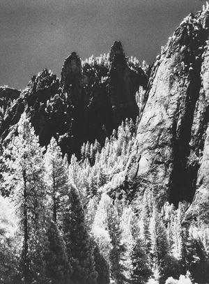 Alberi e rocce - Yosemite