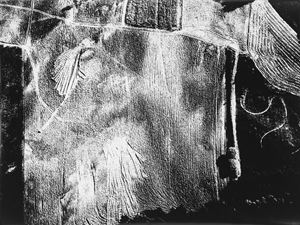 Giacomelli Mario - Presa di coscienza sulla natura