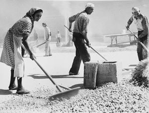 Moisio Aldo - Lavoratori