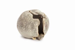 Zauli Carlo - Small sphere