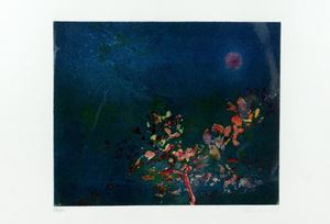 Cordio Nino - Night