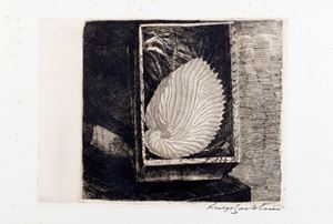 La fragile conchiglia