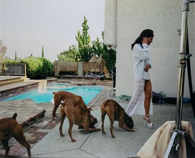 Boxers, Mission Hills, dalla Serie "the Valley"