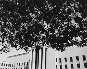 La Sapienza, Rome