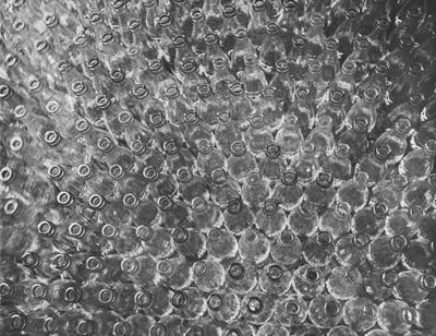 Enoteche - Stampa vintage alla gelatina ai sali d'argento