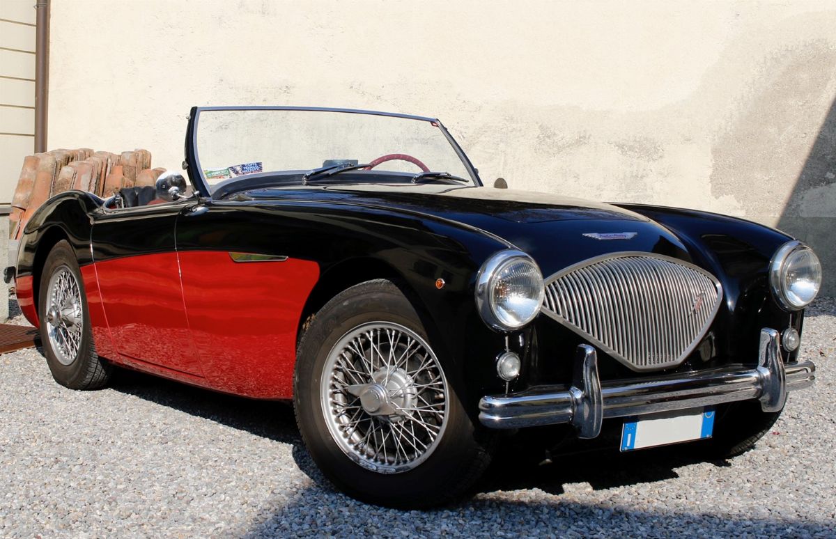 1956 Austin-healey 100 (austin-healey)