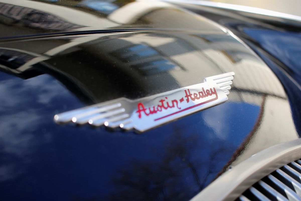 1956 Austin-healey 100 (austin-healey)