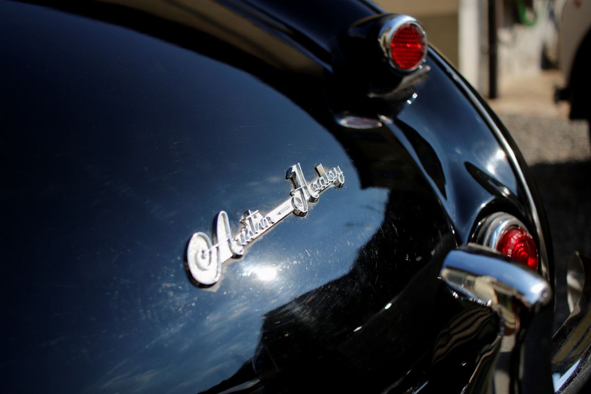 1956 Austin-healey 100 (austin-healey)
