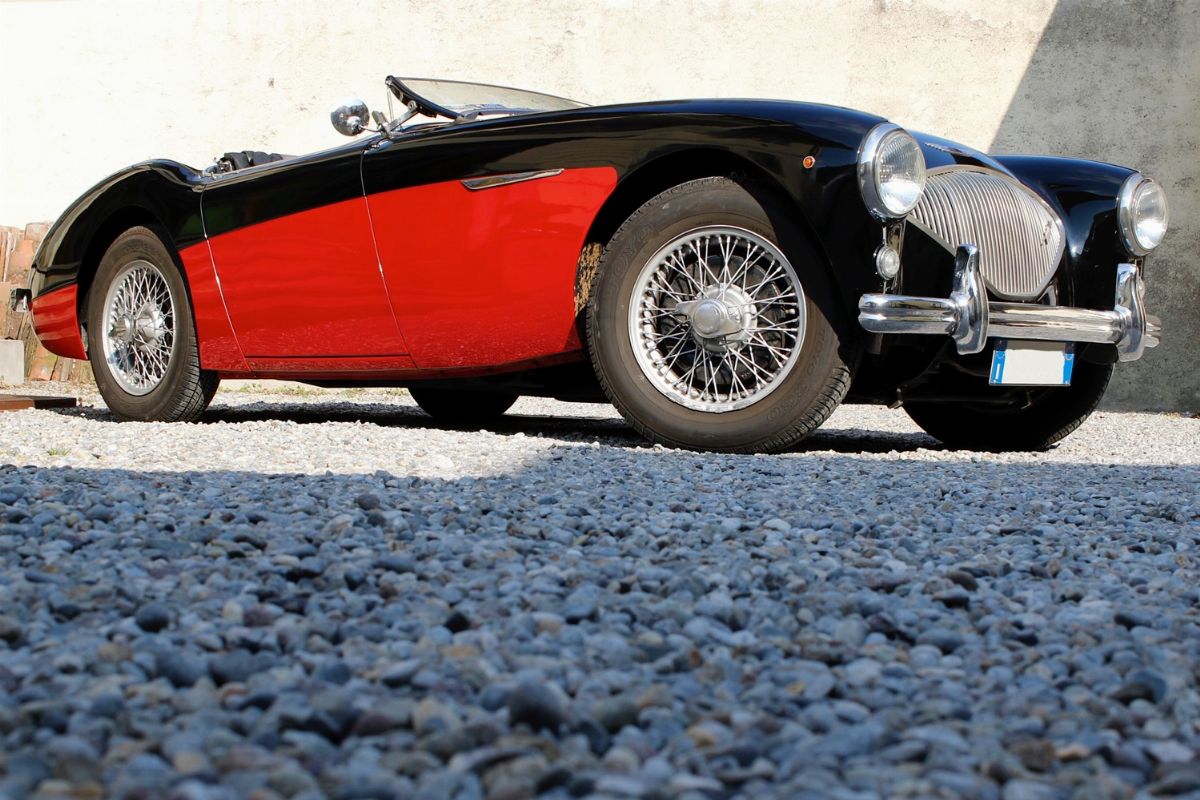 1956 Austin-healey 100 (austin-healey)