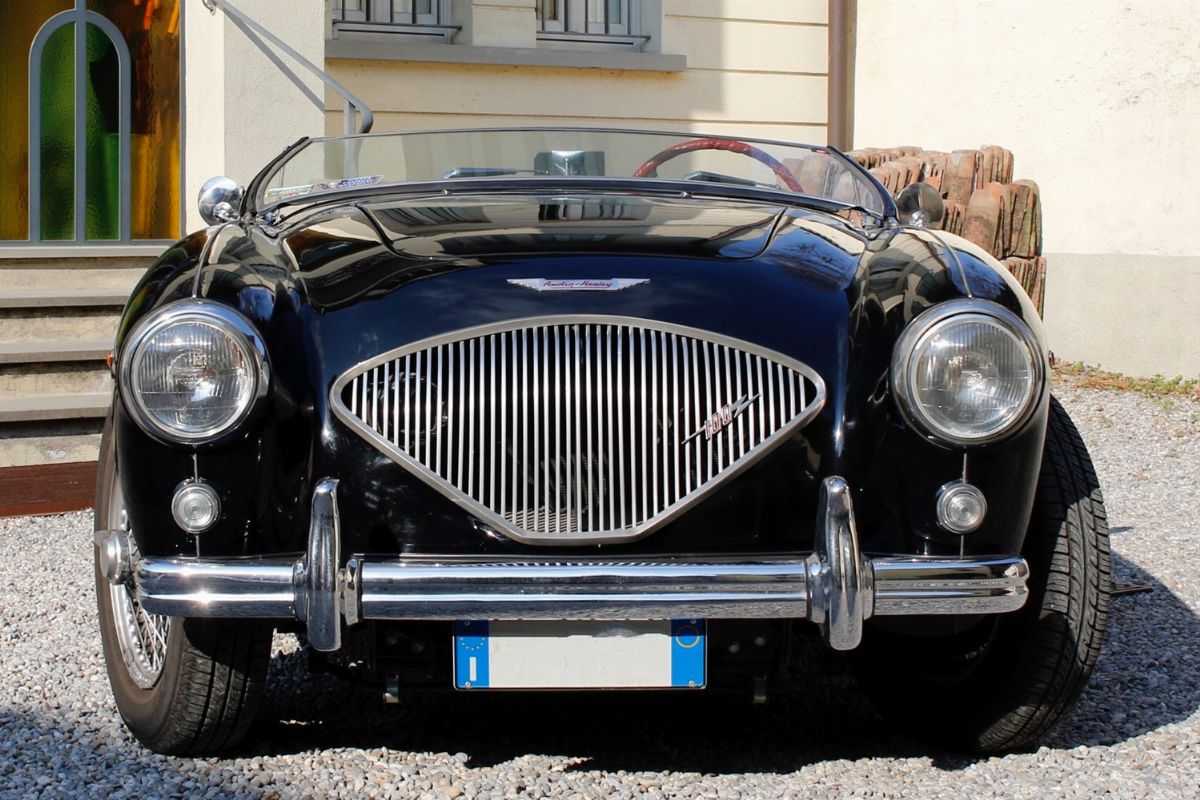 1956 Austin-healey 100 (austin-healey)