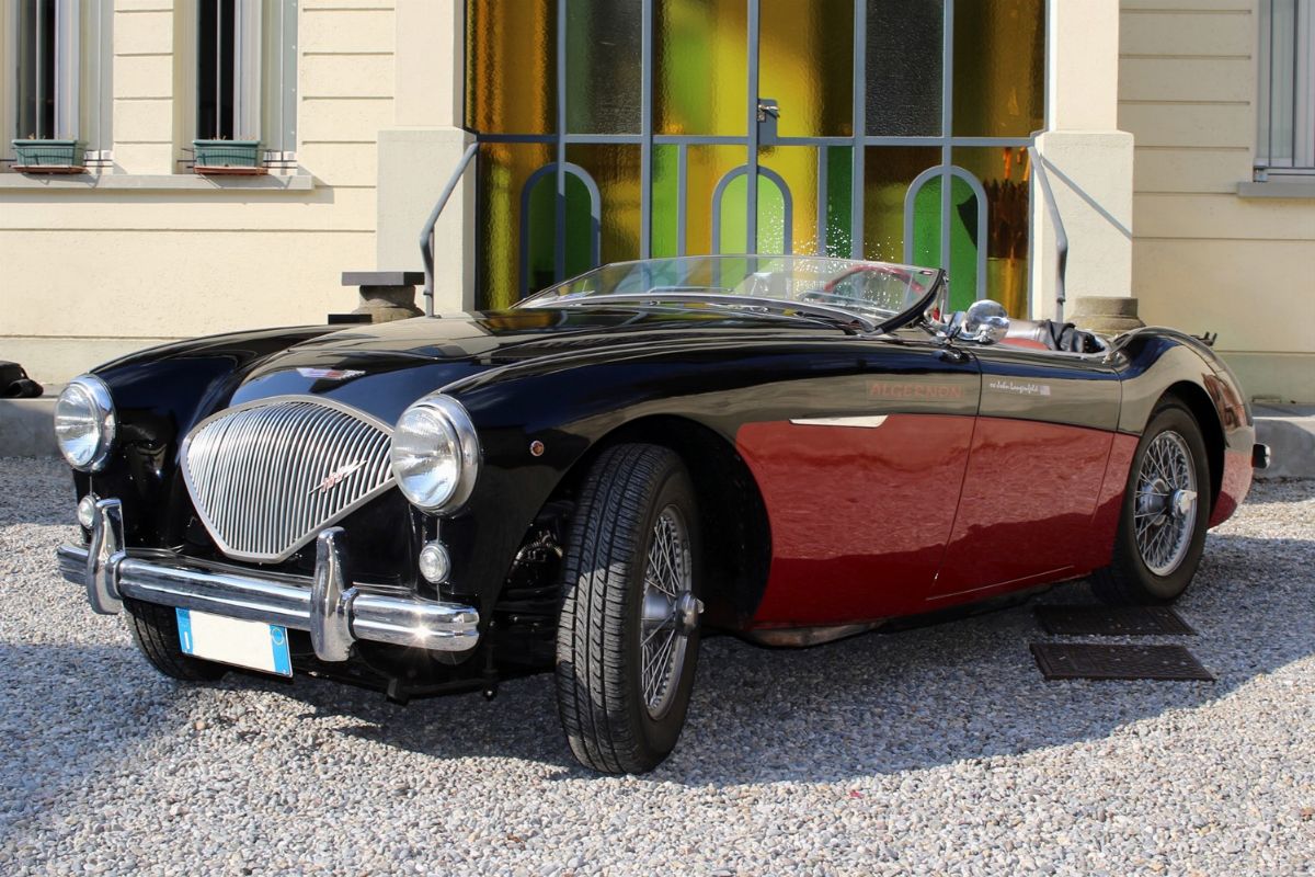 1956 Austin-healey 100 (austin-healey)
