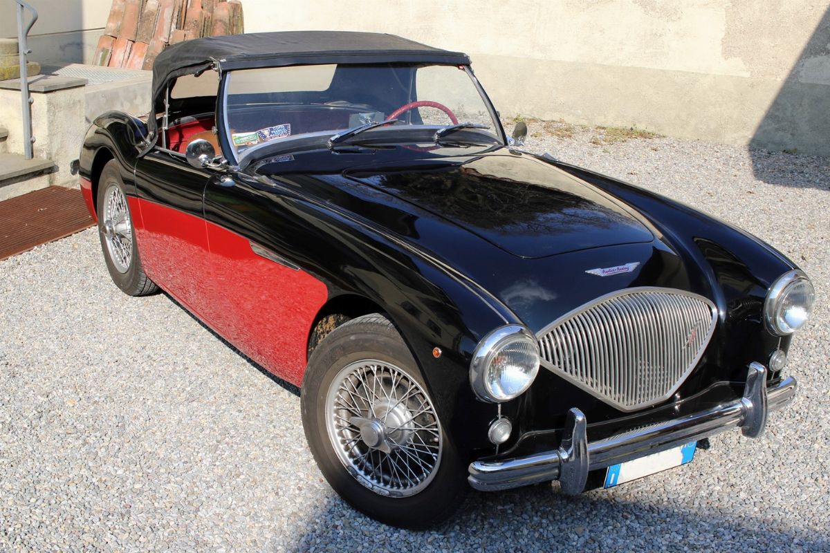 1956 Austin-healey 100 (austin-healey)