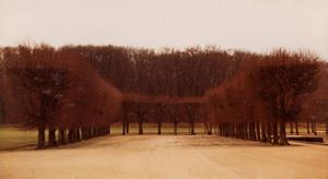 From the series "Chambres et Jardins"
