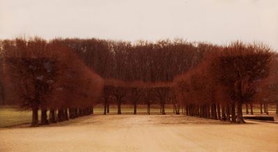 Dalla serie 'Chambres et Jardins', C-print vintage