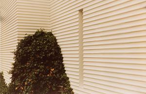 From the series "Chambres et Jardins"