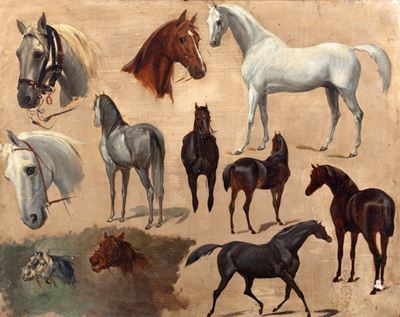 Studi di Cavalli