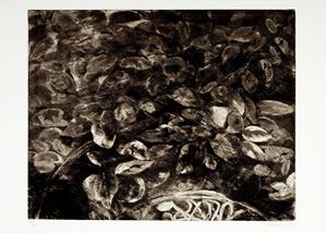 Cordio Nino - Leaves