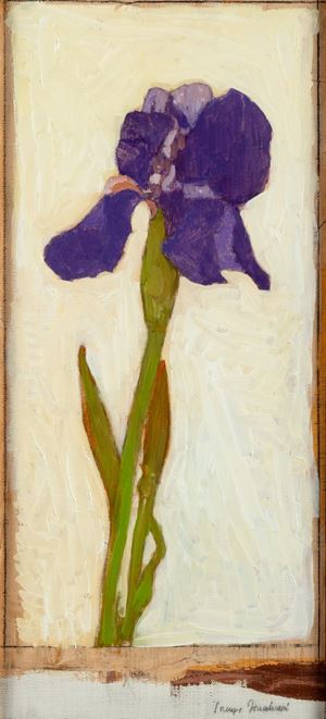 Iris