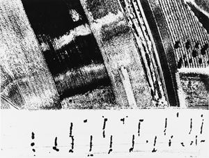 Giacomelli Mario - Storie di terra dal 1970 ad oggi