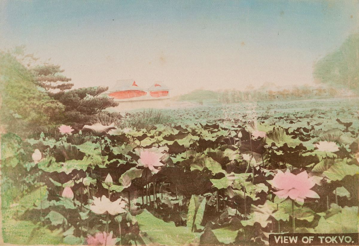 Scuola di Yokoama - Senza Titolo (giappone)
