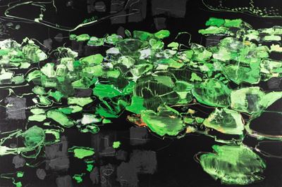 Ninfee II, olio su tela, 2014