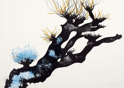 Albero