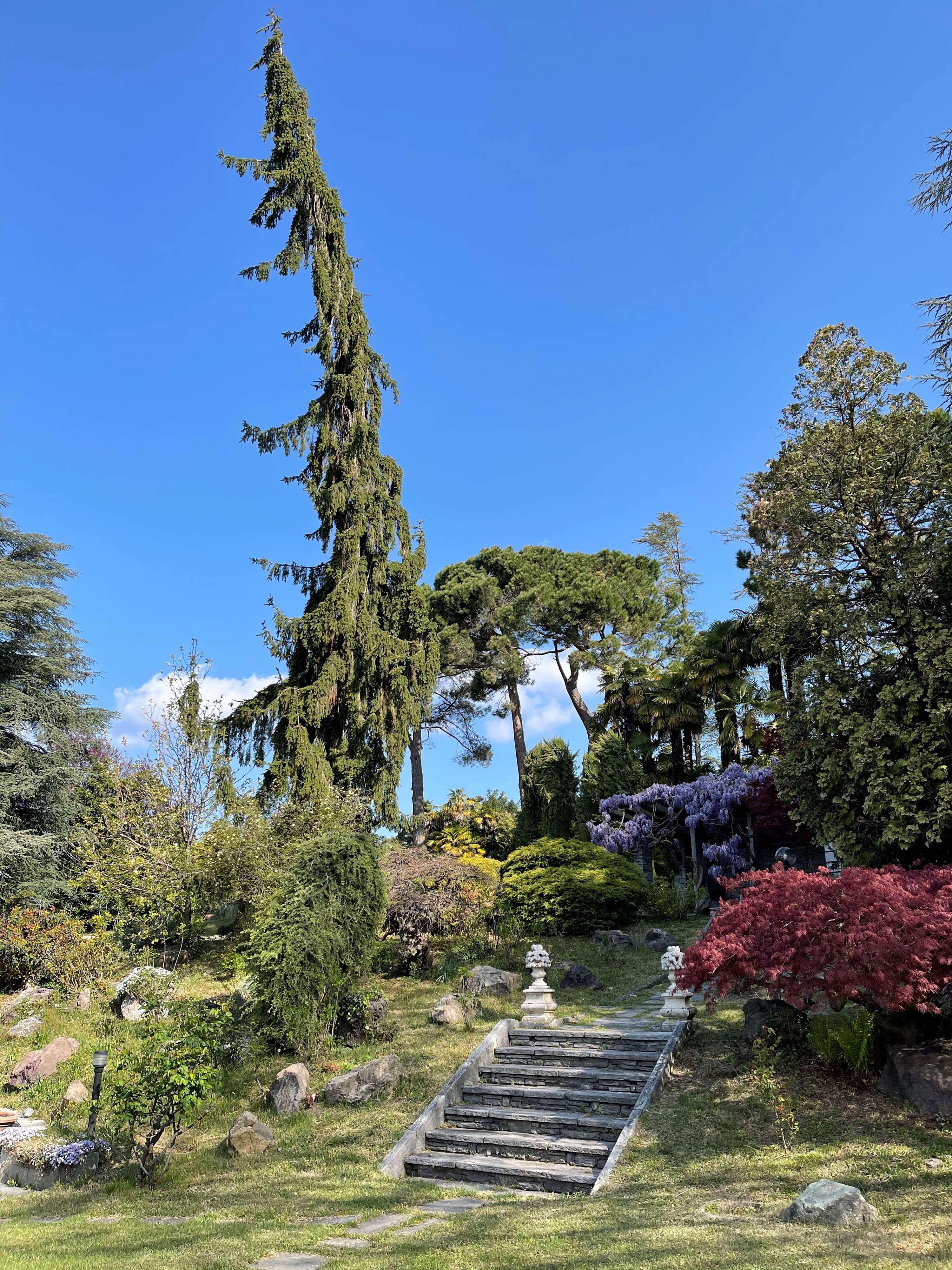 Villa Paradeisos, Varese - Villa Paradeisos, Prestigiosa villa signorile con parco privato e vist...