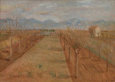 Senza titolo, olio su tavola