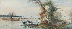 Roesler Franz Ettore - Buffaloes in the swamp