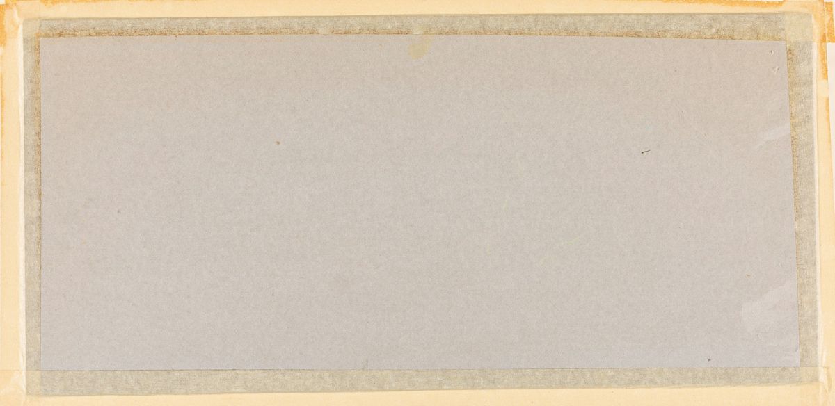 Ettore Roesler Franz - Bufali nella Palude